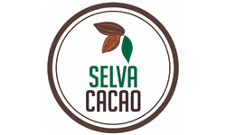 selva-cacao